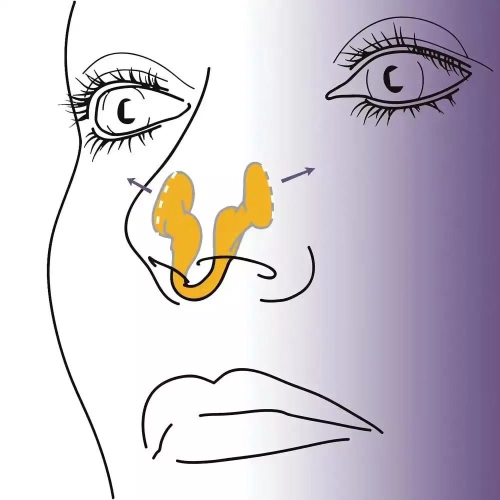 Alat Anti Mendengkur Silikon L - Anti Snore Contour Pillow ulasan dan harga